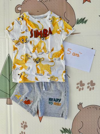 Ensemble simba