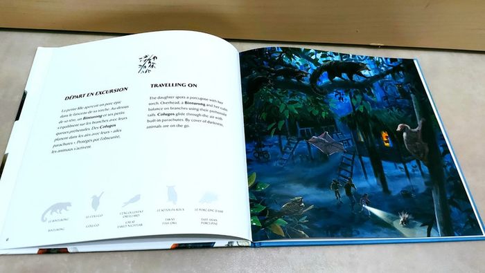 📚 Livre en anglais et français : Merveilles des annamites/ Wonders of the annamites - photo numéro 3