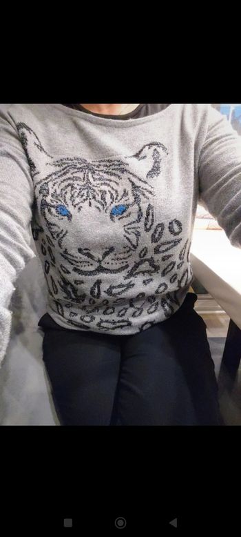 Pull gris tigre camaïeu S