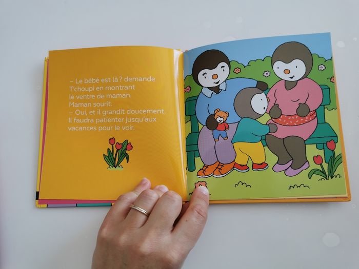 Lot livres T'choupi neufs - photo numéro 7