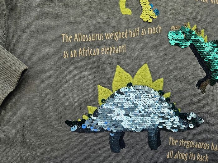 Sweat bleu ciel dinausore H&M 5 ans - photo numéro 4