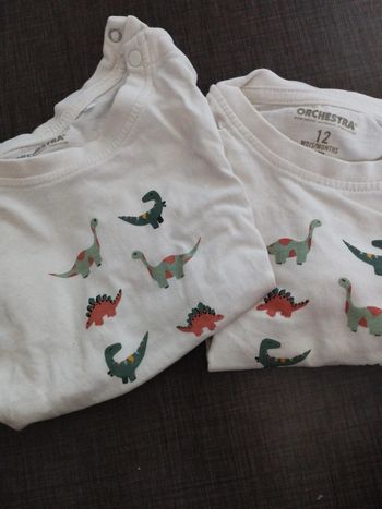 2 t-shirts manche longue
