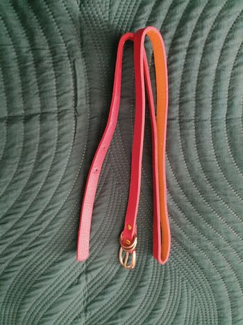 Ceinture rouge