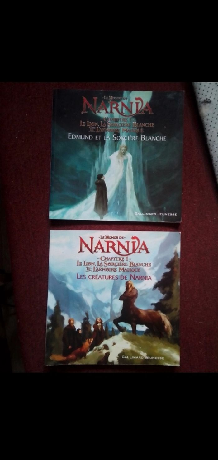Bande dessinée enfants aux choix - photo numéro 3