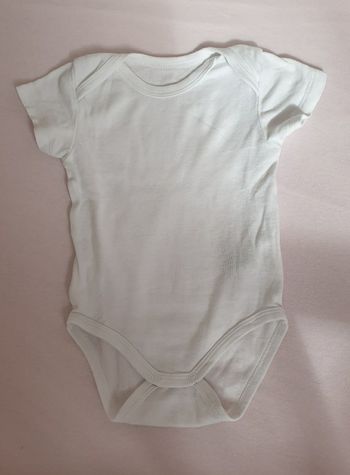 Bodie 3 mois