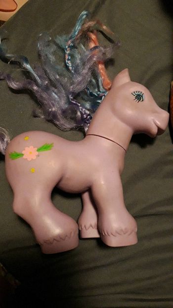 Poney my little poney