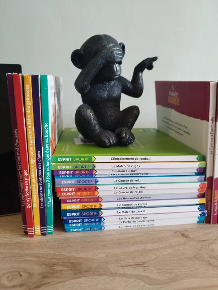 70 Livre mcdo - photo numéro 2