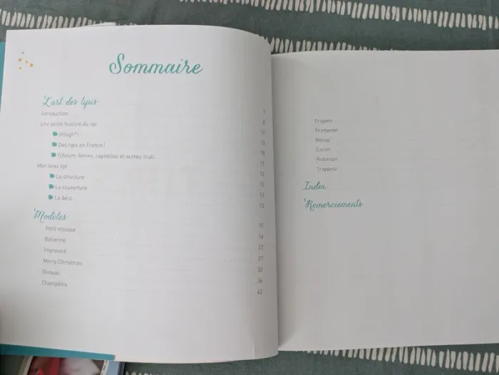 Livre tipi déco - photo numéro 2