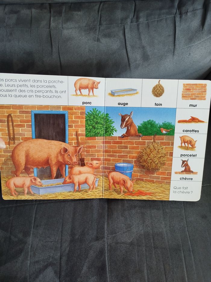 Livre bébé - photo numéro 5