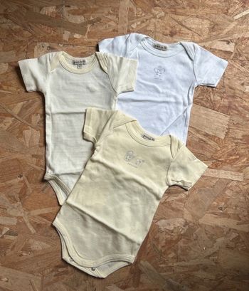 Lot de 3 bodies 3 mois grain de blé