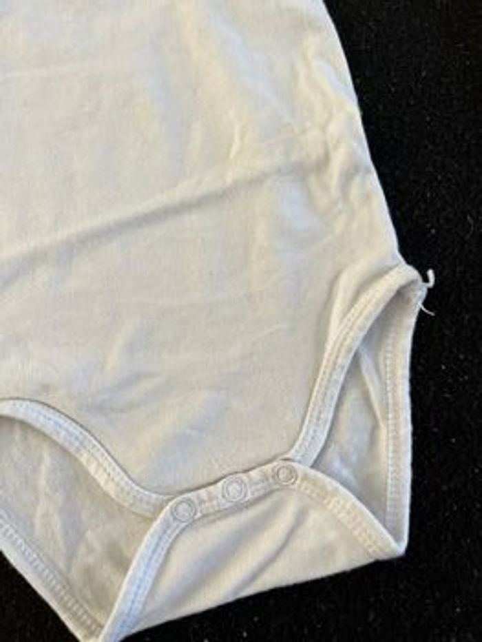 Bodie 3 mois - photo numéro 2