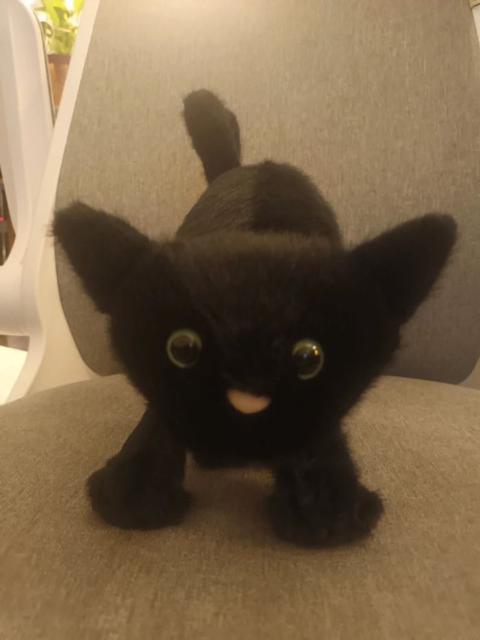 Peluche chat noir jellycat - photo numéro 10