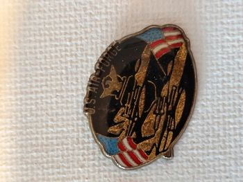 Lot de 14 pins usa