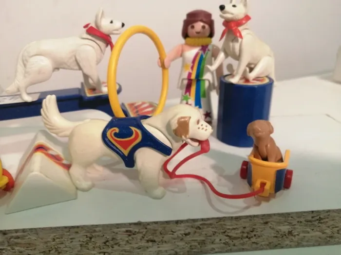 Playmobil theme dressage des chiens - photo numéro 2