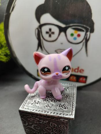 Lps01125 My Littlest Petshop Pet Shop LPS Authentic Chat Cat Shorthair 933