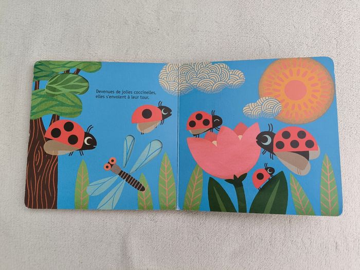 Livre La coccinelle Amaterra - photo numéro 6