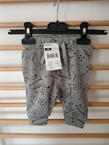 Joggings neuf gémo renard