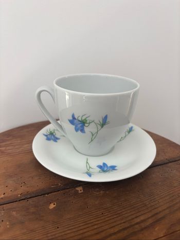 Superbe tasse et sa soucoupe fleurs bleues porcelaine de Limoges Singer