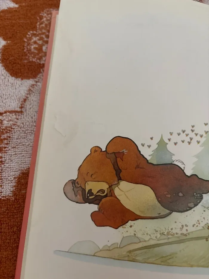 L ours et le pêcheur - photo numéro 6