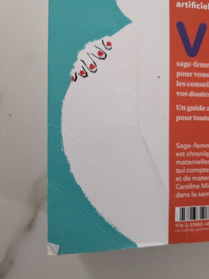 Livre grossesse/post partum - c'est ma grossesse d'Anna Roy. - photo numéro 6