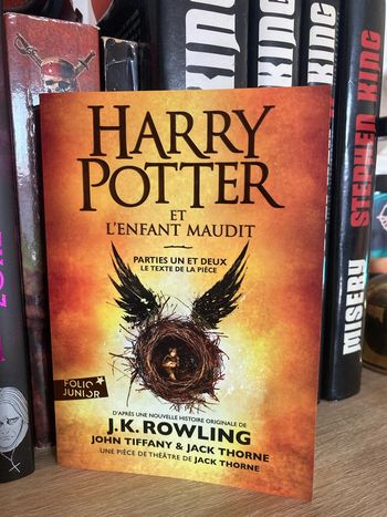 Livre de poche Harry Potter et l’enfant maudit : parties un et deux