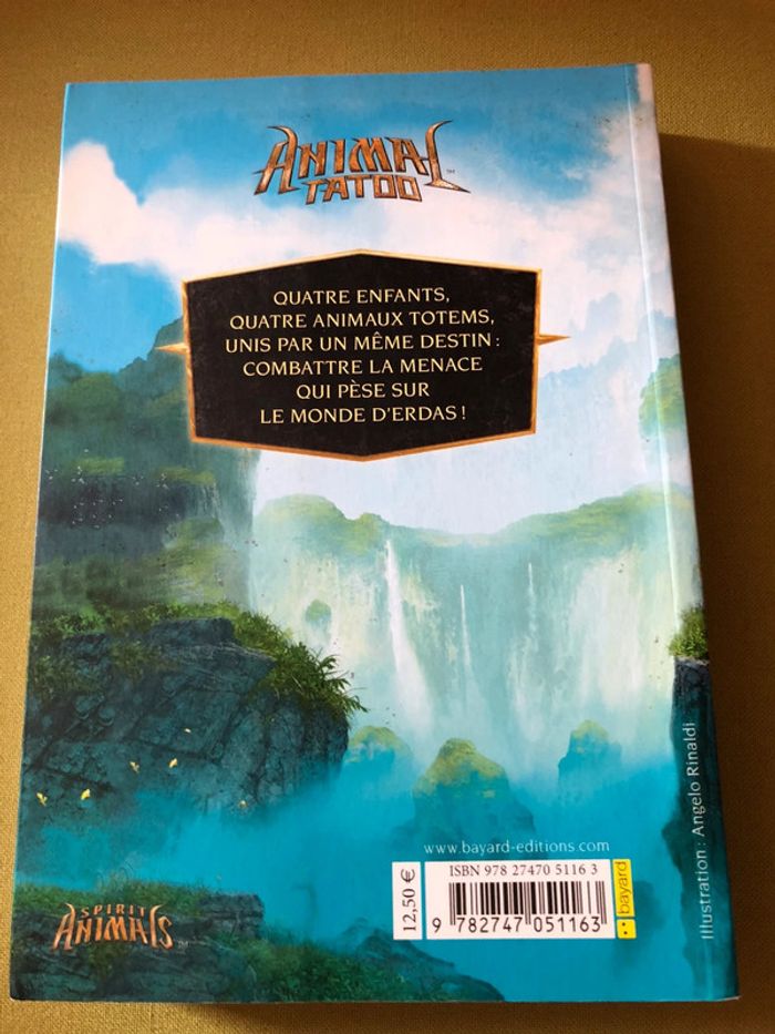 Livre animal tatoo 1 Brandon Mull - photo numéro 4