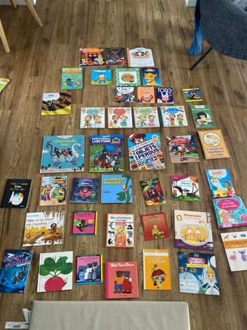Grand lot de livres jeunes enfants