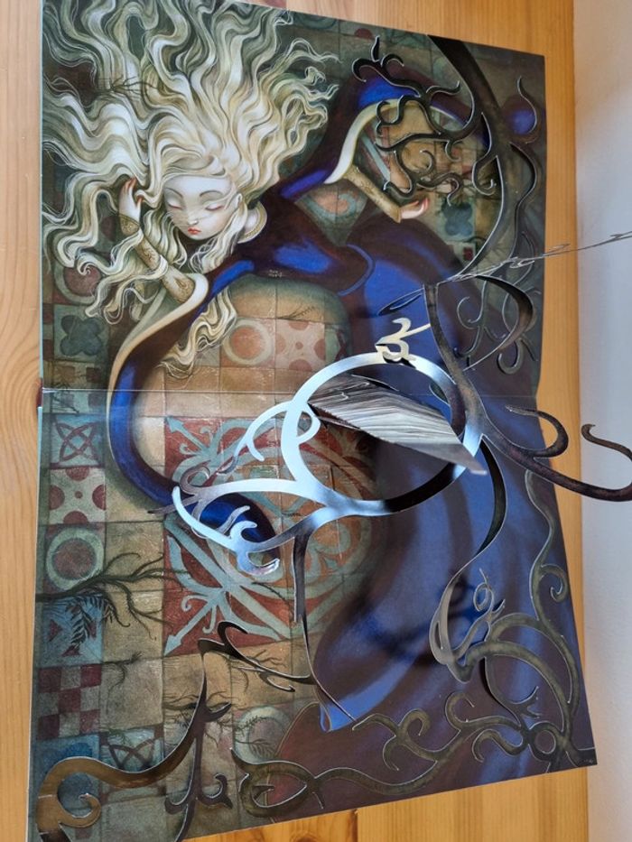 Masqué / livre Il était une fois
Benjamin Lacombe - photo numéro 16