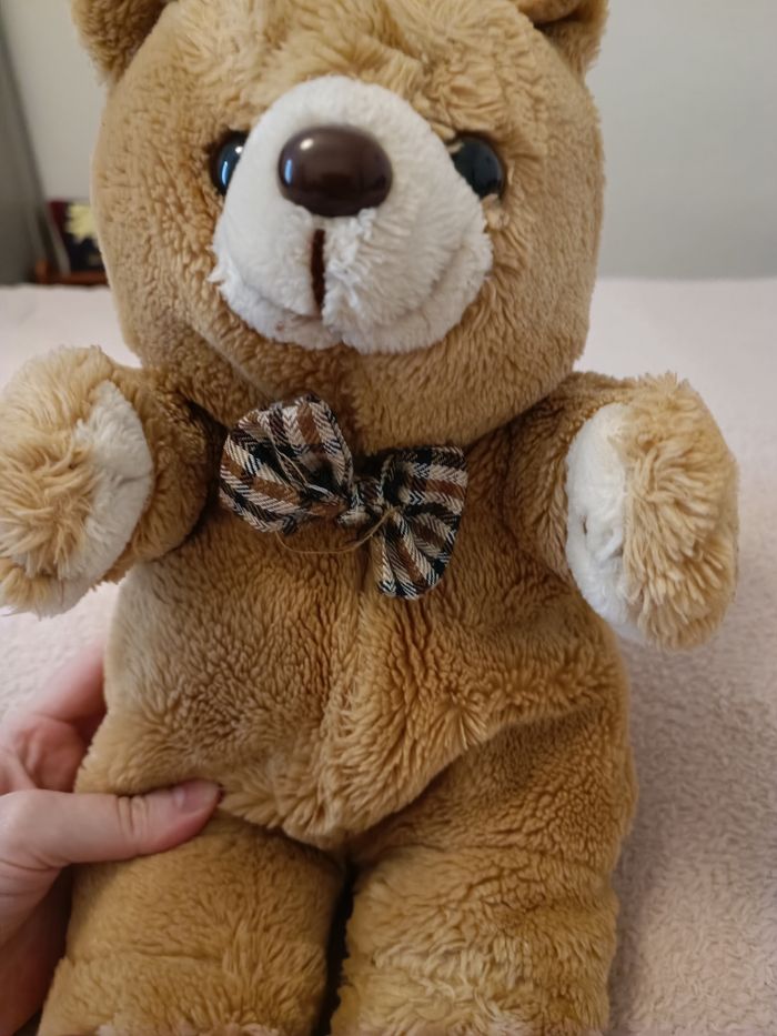 Ours en peluche - photo numéro 3