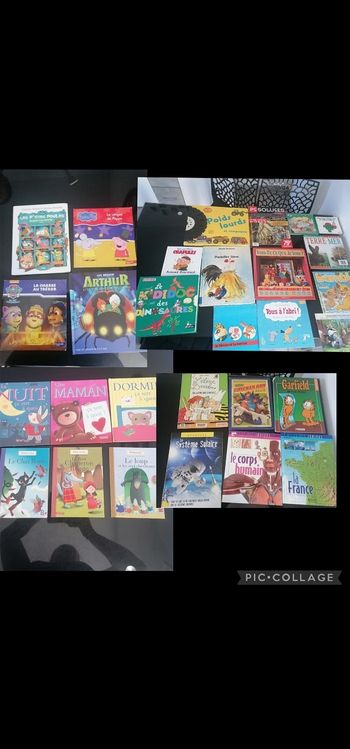Lot livres divers