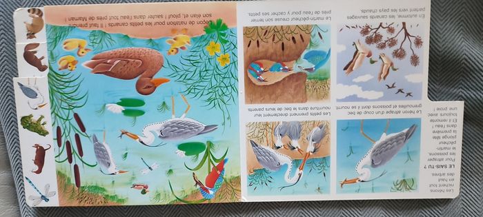 Livre trois petits tours au bord de l'eau Fleurus enfants - photo numéro 3