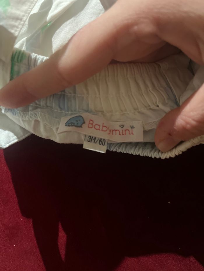 Short 3mois - photo numéro 3