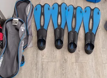 Pas de vintedgo svp lot de palmes 39/40