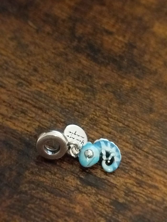 Vend charm de pandora caméleon - photo numéro 2