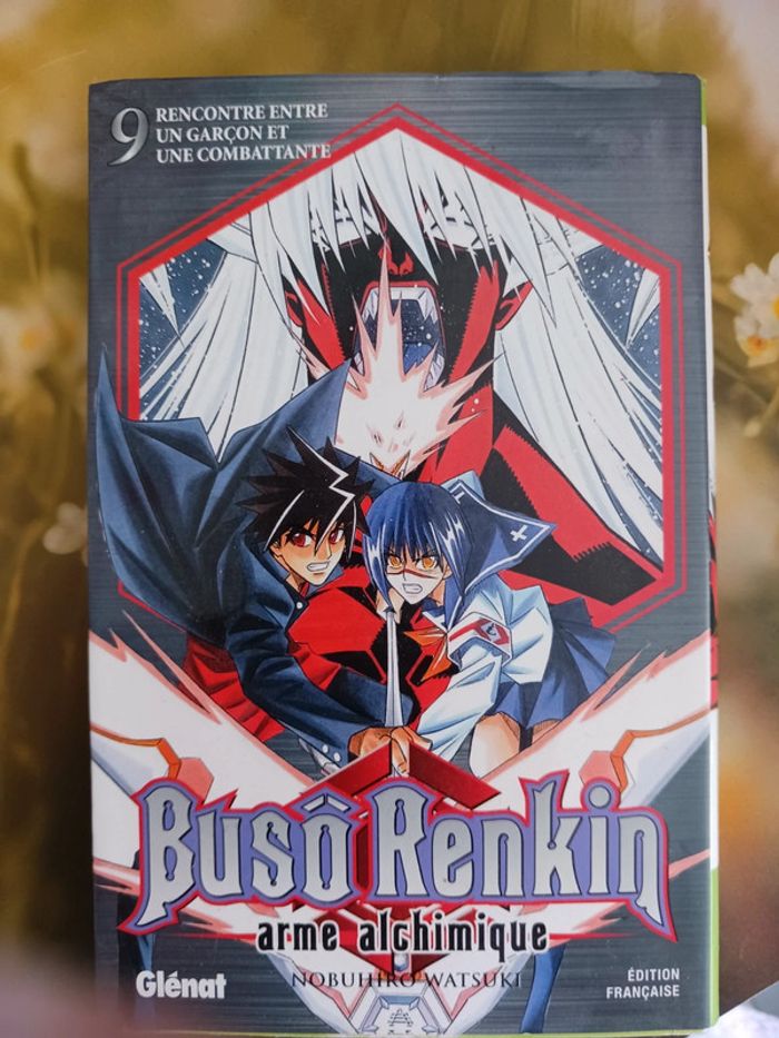 Manga Buso Renkin T1 à 10 (Complet) - photo numéro 4
