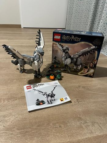 Lego Harry Potter : Buck