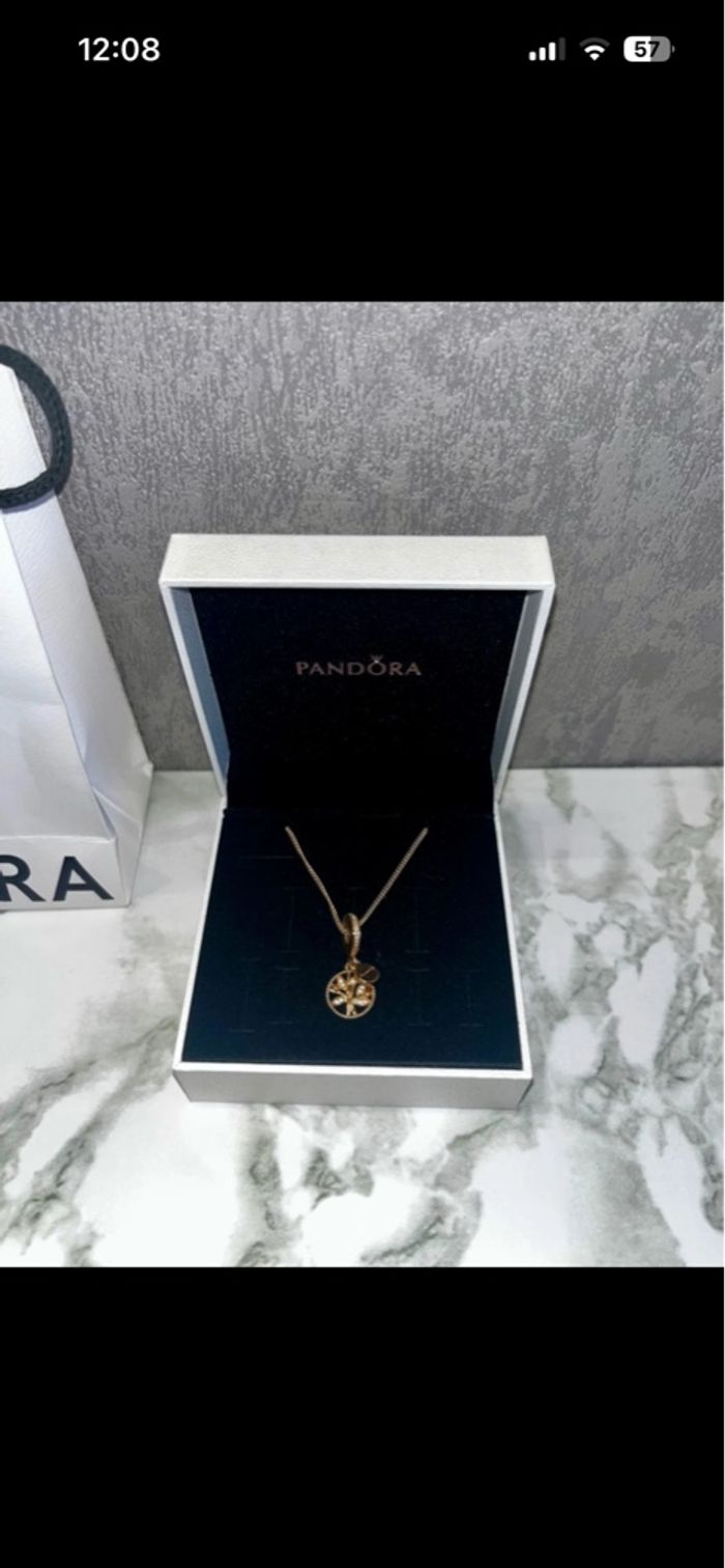 Collier charm - photo numéro 1