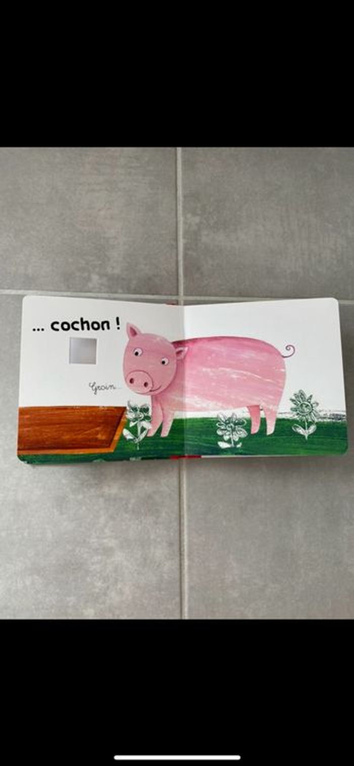Livre Coucou je vis ici ! - photo numéro 6
