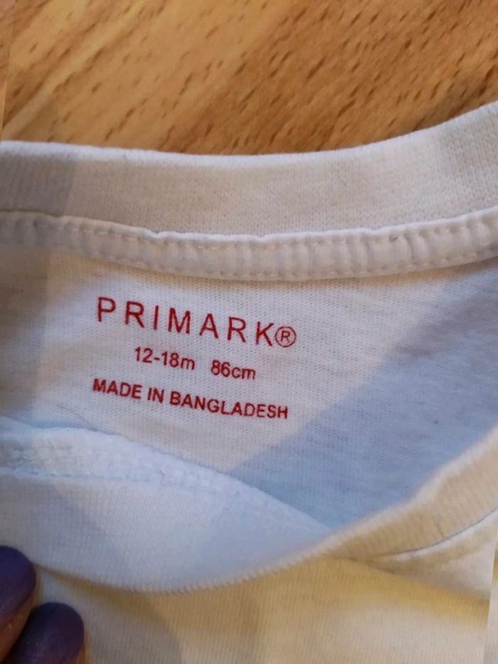 Ensemble ou lot 2 pièces - photo numéro 6