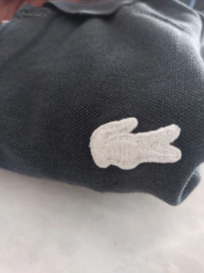 Polo Lacoste taille xs - photo numéro 4