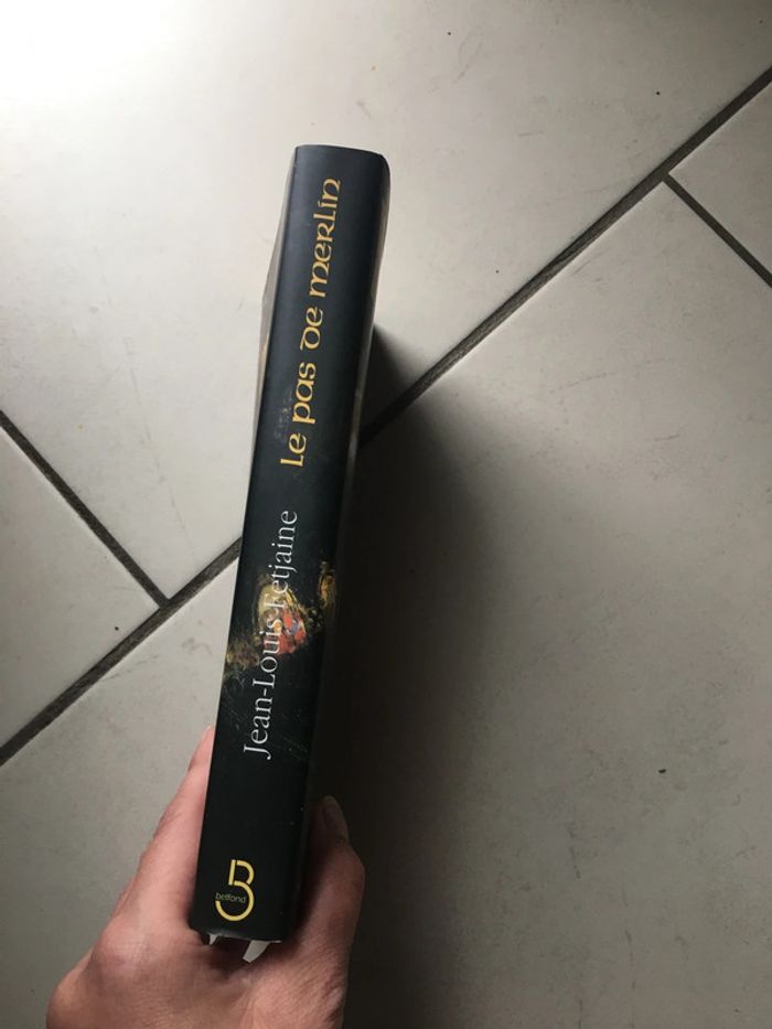 Livre Broché Le pas de Merlin Tome 1 - photo numéro 8