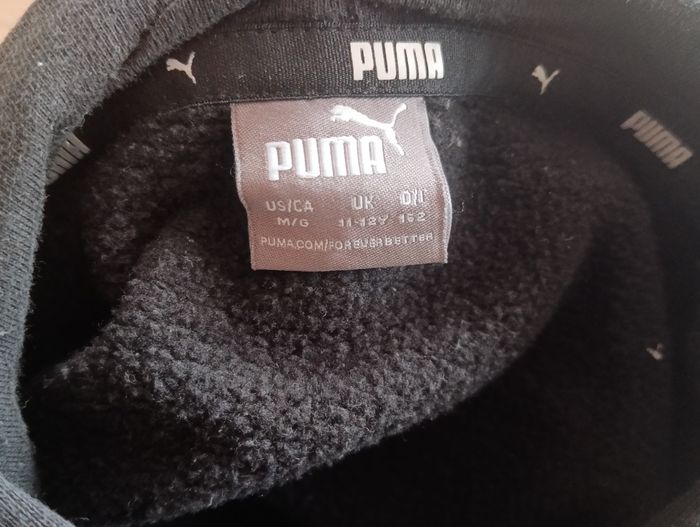 Pull puma - photo numéro 3