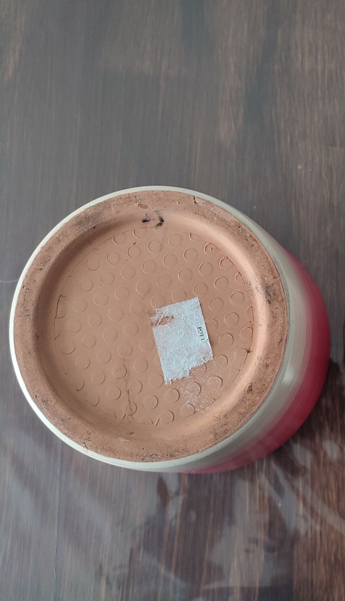 Cache pot - photo numéro 3