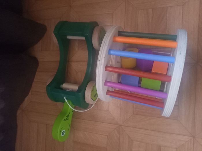 Tortue à tirer - photo numéro 2