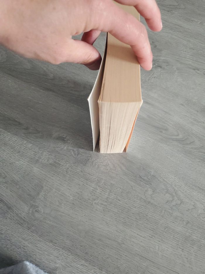 Une dernière danse Victoria Hislop – Livre de poche en bon état - photo numéro 4