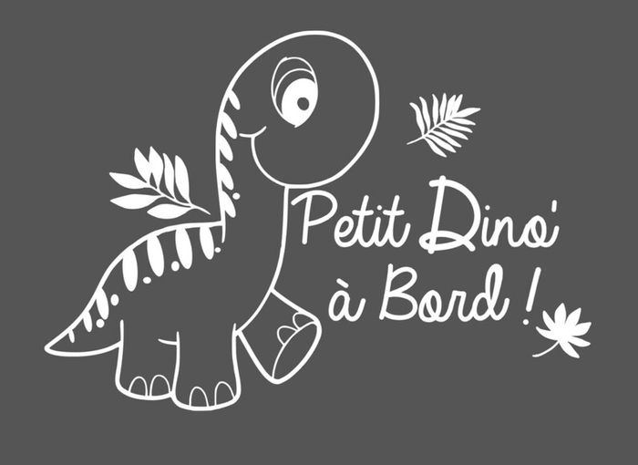 Stickers pour voiture - photo numéro 5