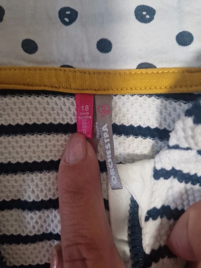 Ensemble orchestra - photo numéro 4