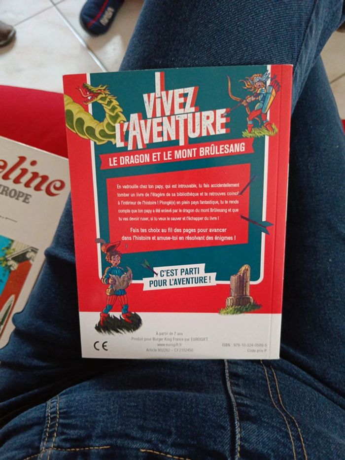 Livre énigme Le dragon et le mont brûle sang - photo numéro 2