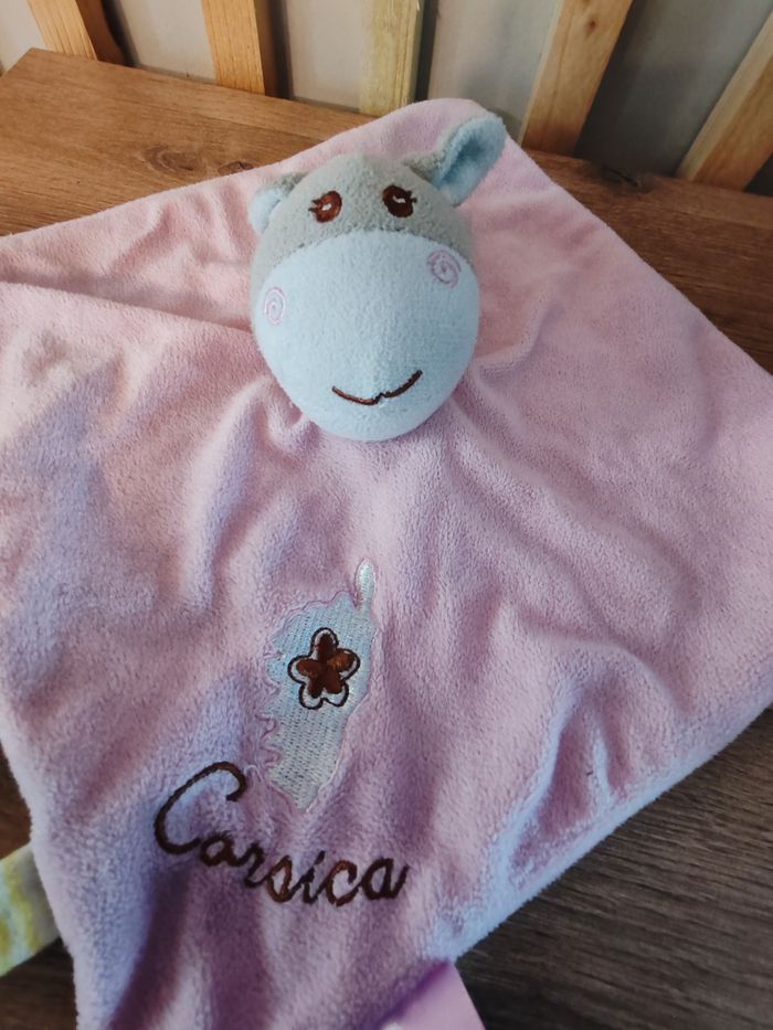Âne cheval rose Corsica - photo numéro 2