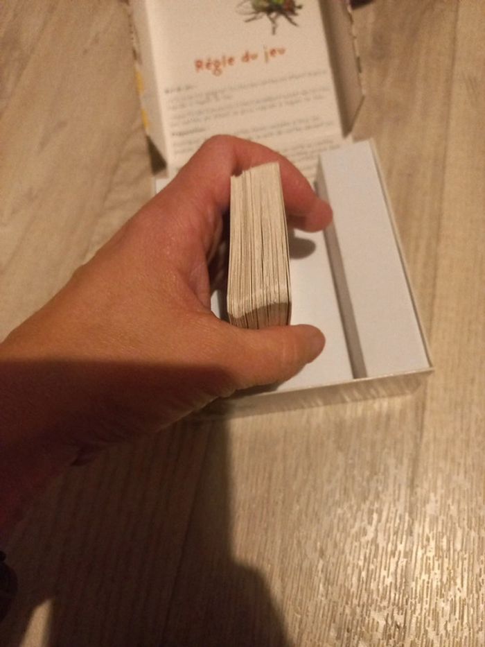 Big bug panic - photo numéro 5